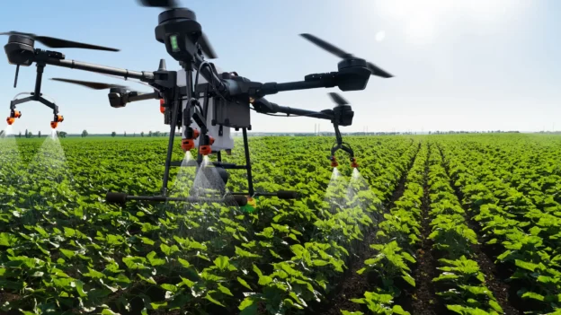 An agricultural drone flies over a field, spraying crops.